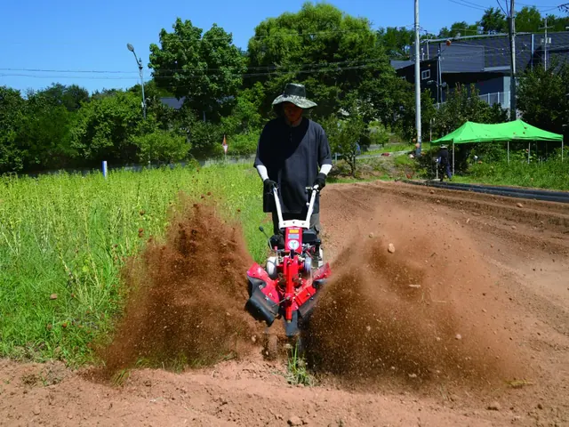 Motocultor fresando un terreno seco y levantando tierra a ambos lados