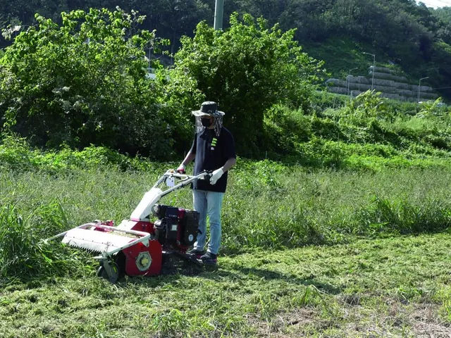 Desbrozadora de empuje limpiando un terreno con hierba alta junto al monte