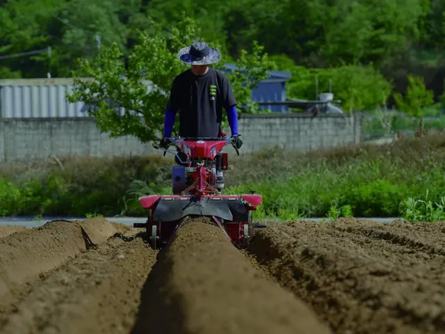 Motocultor formando una cama de cultivo en línea recta