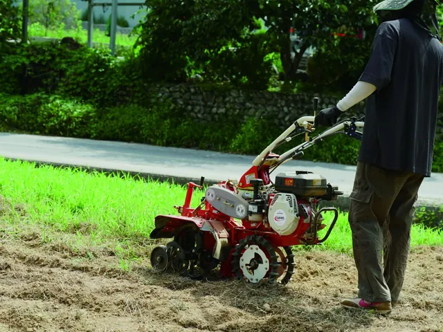 Motocultor fresando una franja de terreno junto a un camino