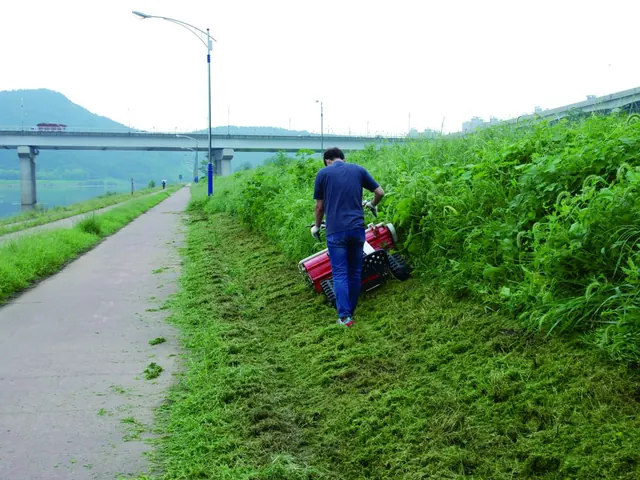 Desbrozadora limpiando la orilla de un camino rural