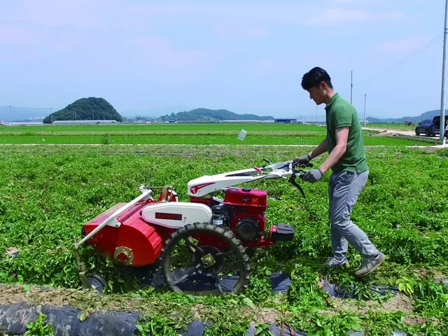 Motocultor con cortadora trabajando en un campo de hortalizas